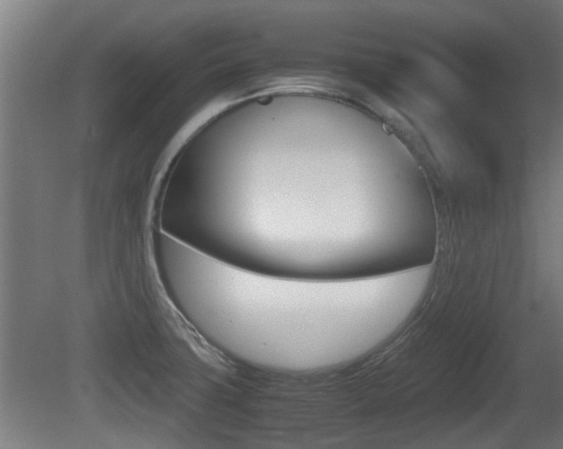 X0000081311427200701110950