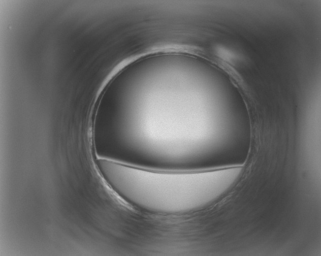 X0000081311428200701110951