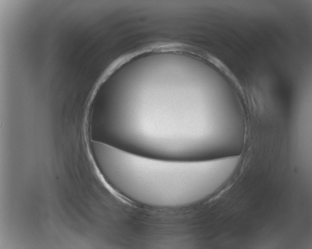 X0000081311429200701110951