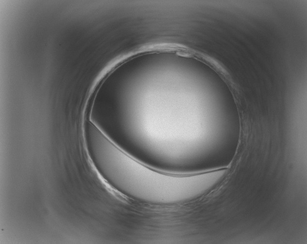 X0000081311430200701110951