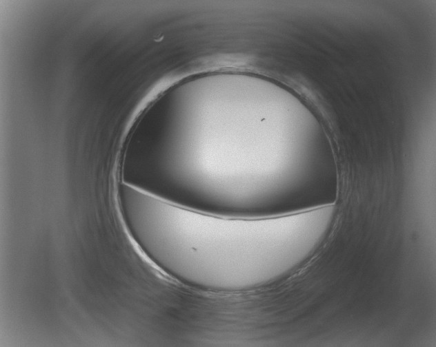 X0000081311432200701110951
