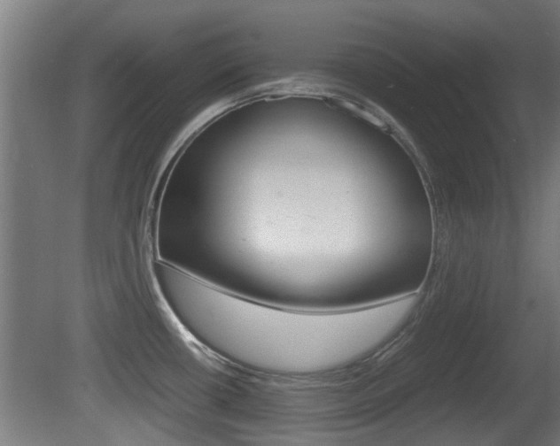 X0000081311434200701110951