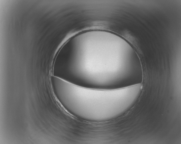 X0000081311436200701110951