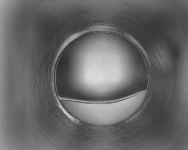 X0000081311437200701110951