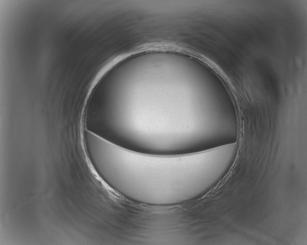 X0000081311440200701110951