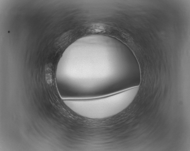 X0000081311442200701110950