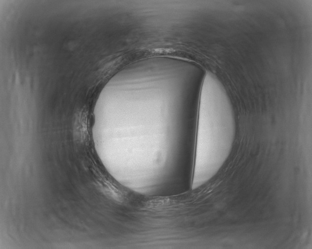 X0000081311444200701110950