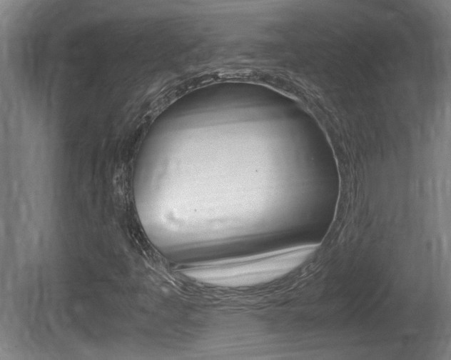 X0000081311445200701110950