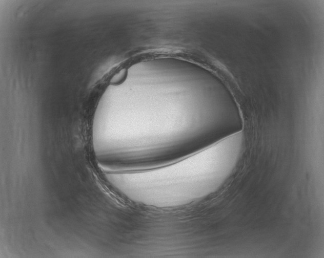X0000081311448200701110950