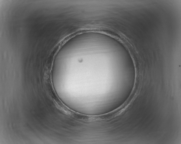 X0000081311449200701110950