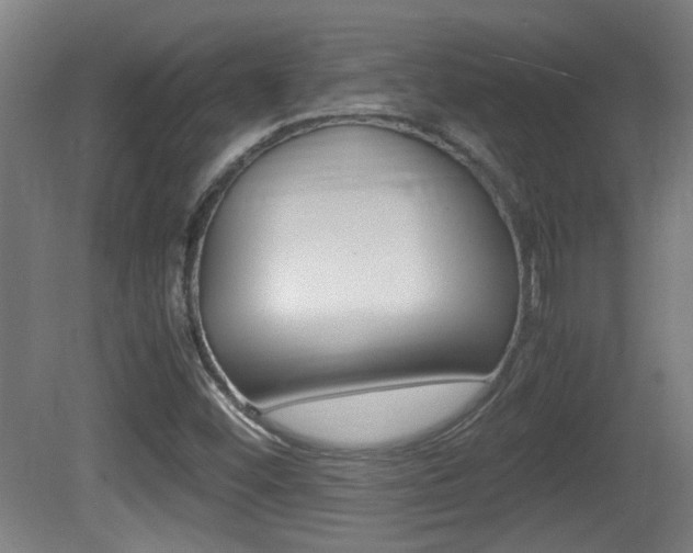 X0000081311452200701110950