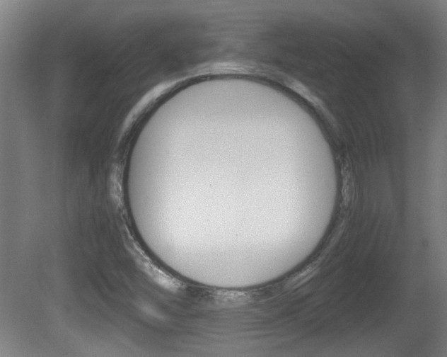 X0000081311454200701110950