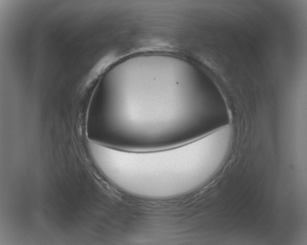 X0000081311455200701110950