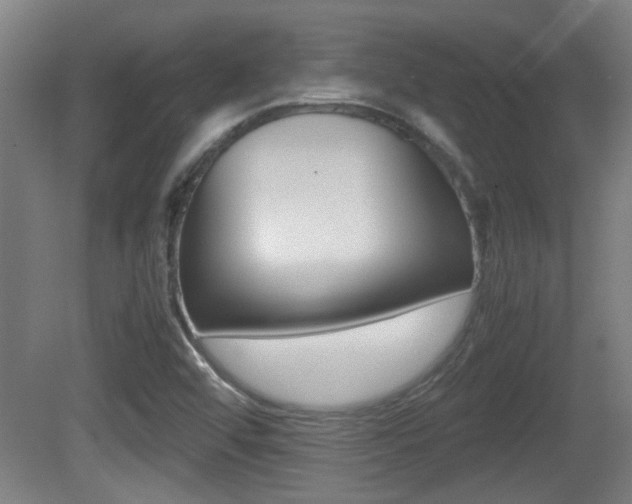 X0000081311456200701110950