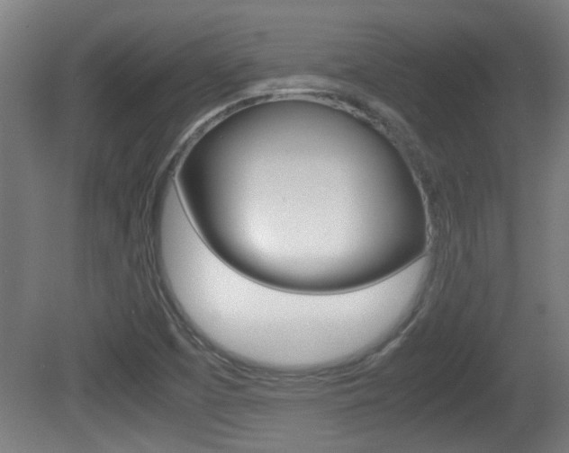 X0000081311457200701110950