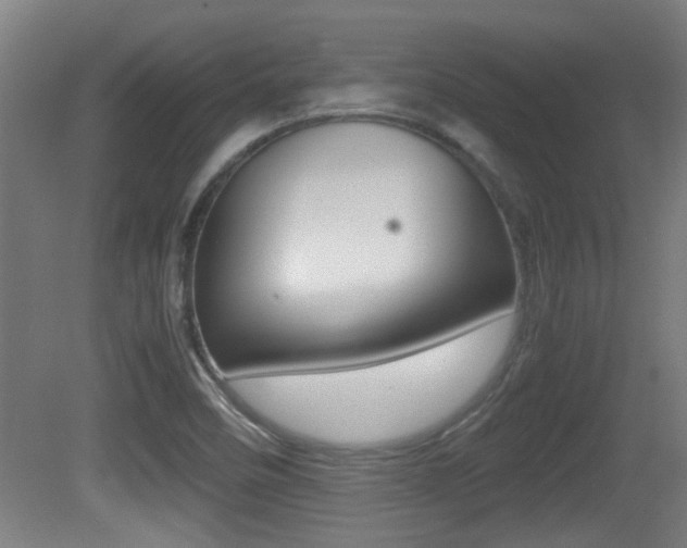 X0000081311458200701110950