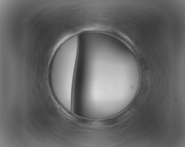 X0000081311463200701110949