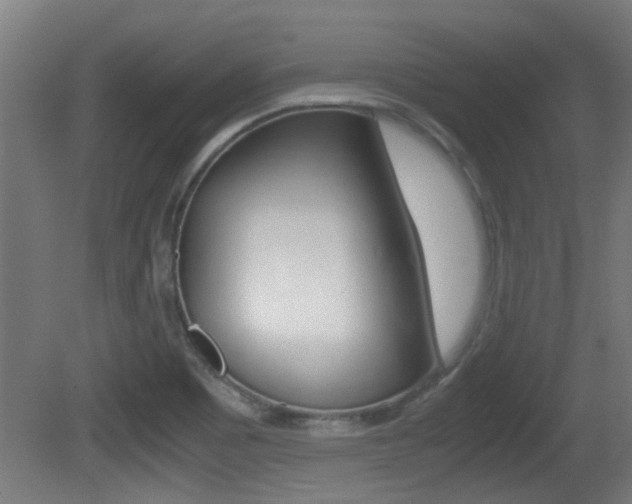 X0000081311465200701110949
