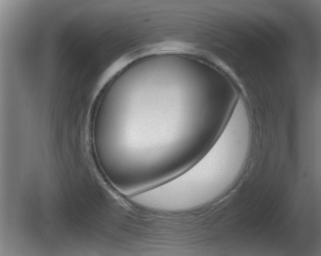 X0000081311469200701110949