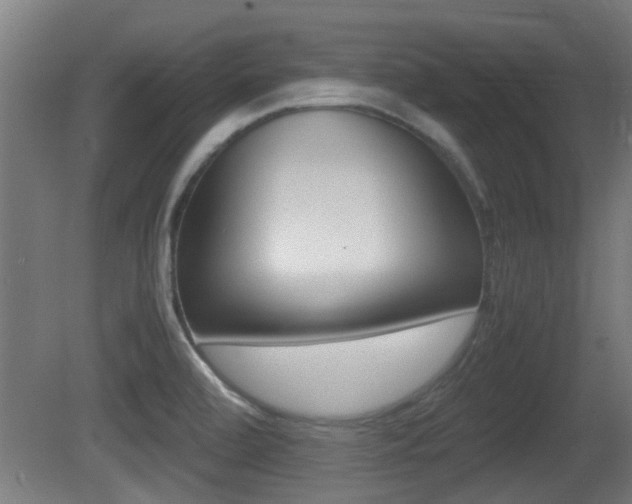 X0000081311472200701110949