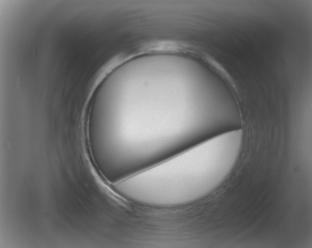 X0000081311475200701110949