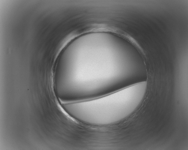 X0000081311476200701110949