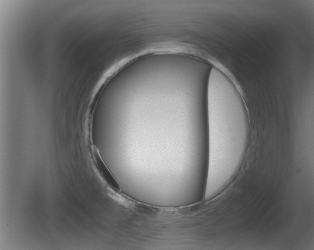 X0000081311477200701110949