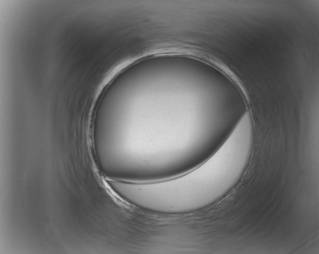 X0000081311485200701110949