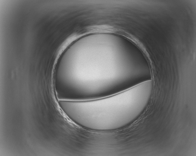 X0000081311488200701110949