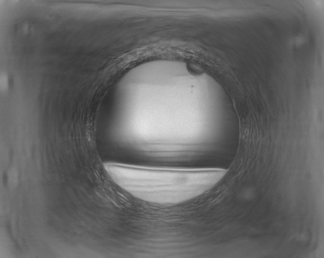 X0000081311490200701110948