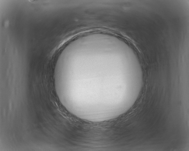 X0000081311496200701110948