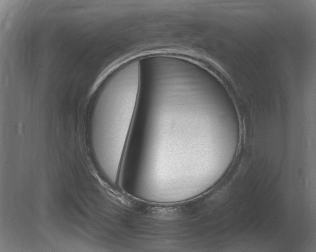 X0000081311501200701110948