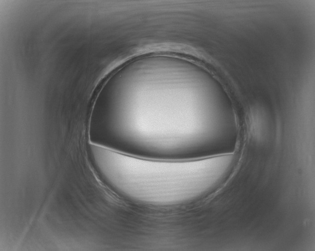 X0000081311505200701110948