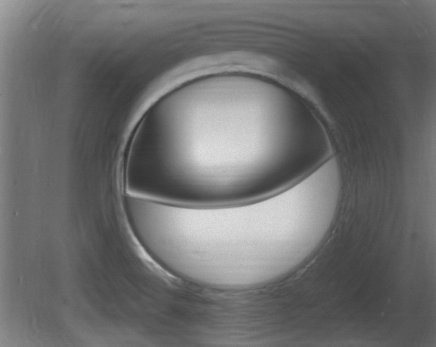 X0000081311516200701110949