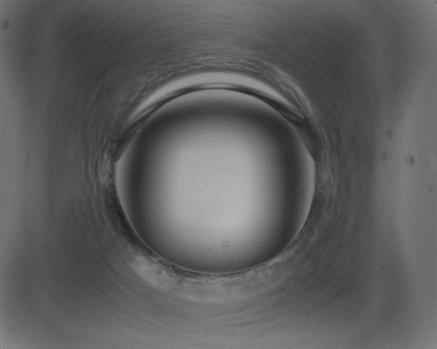 X0000081310025200701111319