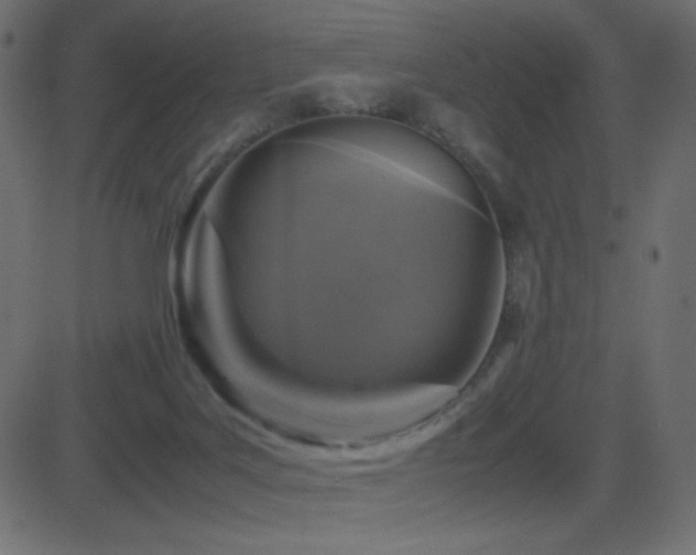 X0000081310027200701111319