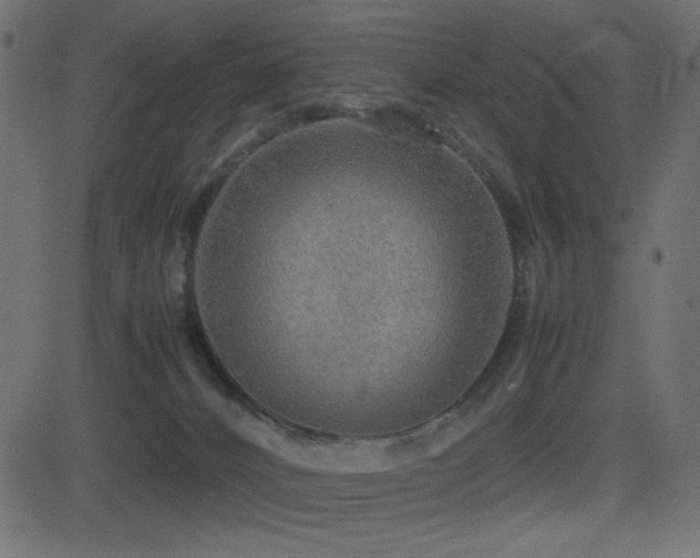 X0000081310032200701111319