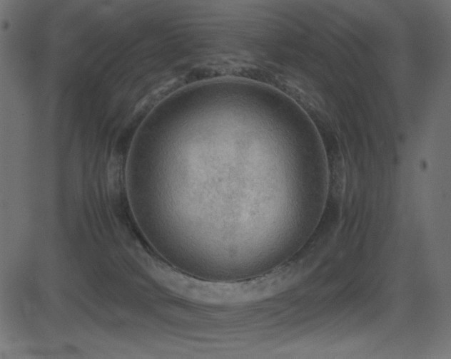 X0000081310034200701111319
