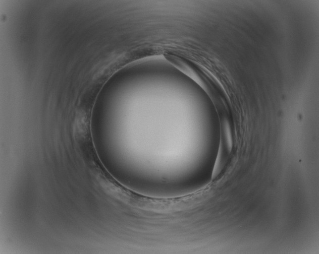 X0000081310037200701111319