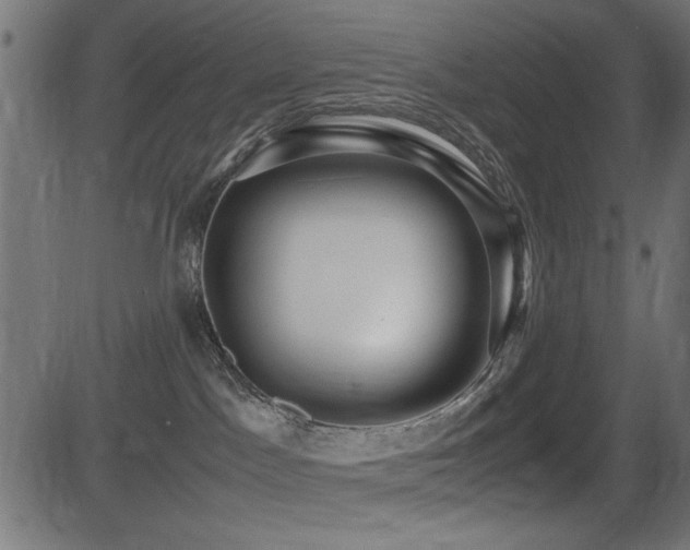 X0000081310045200701111319