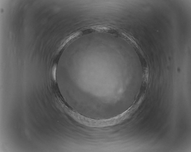 X0000081310047200701111319