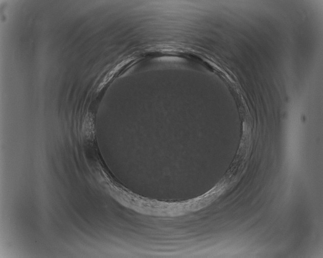 X0000081310048200701111319
