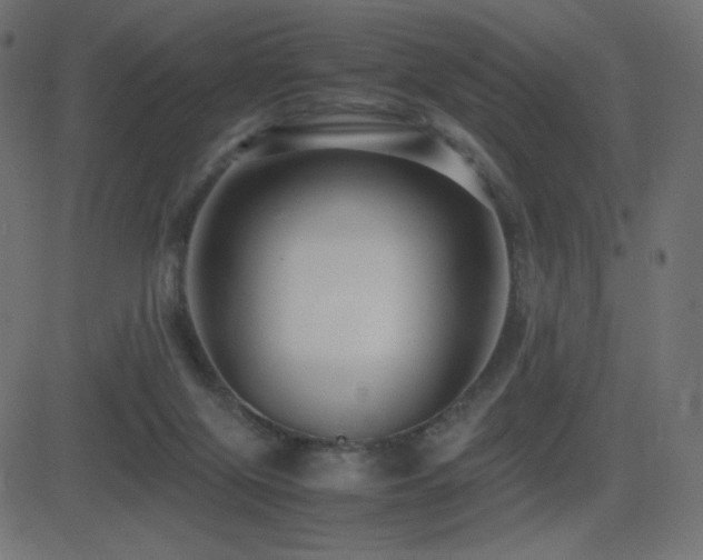 X0000081310071200701111319