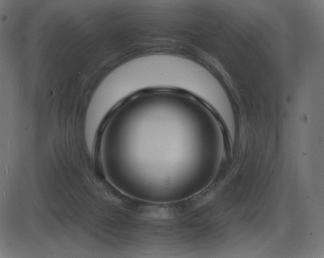 X0000081310073200701111319