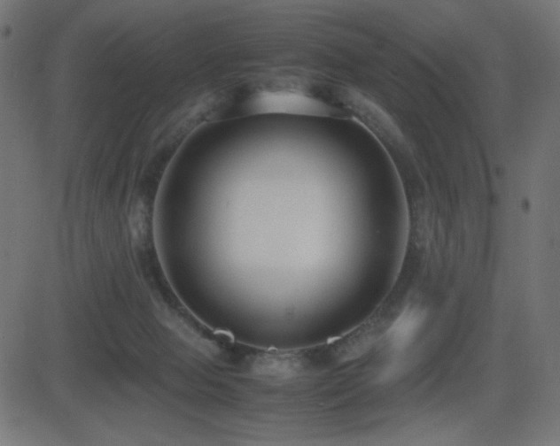 X0000081310077200701111319