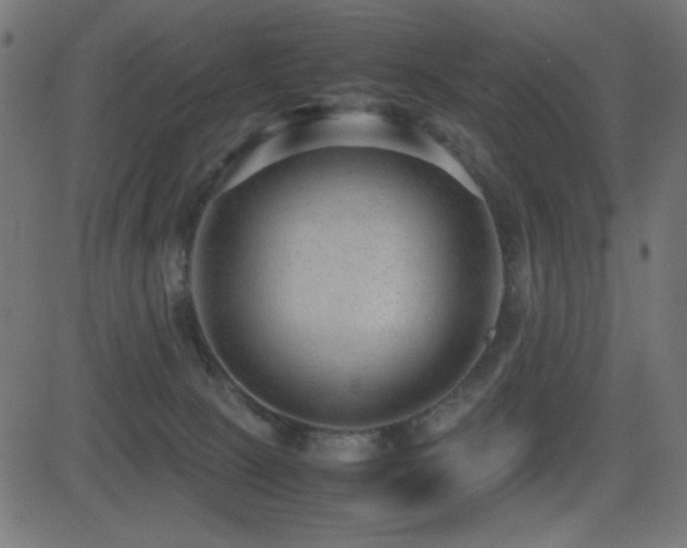 X0000081310081200701111319