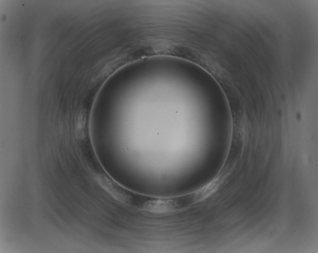 X0000081310082200701111319