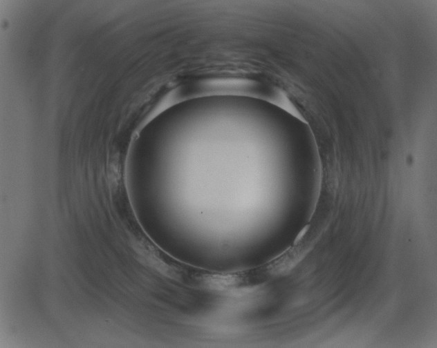 X0000081310085200701111319