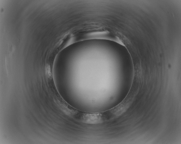 X0000081310089200701111319