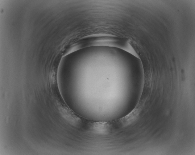 X0000081310090200701111319